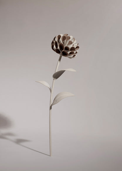 Dalium Flower - Duo Chalk